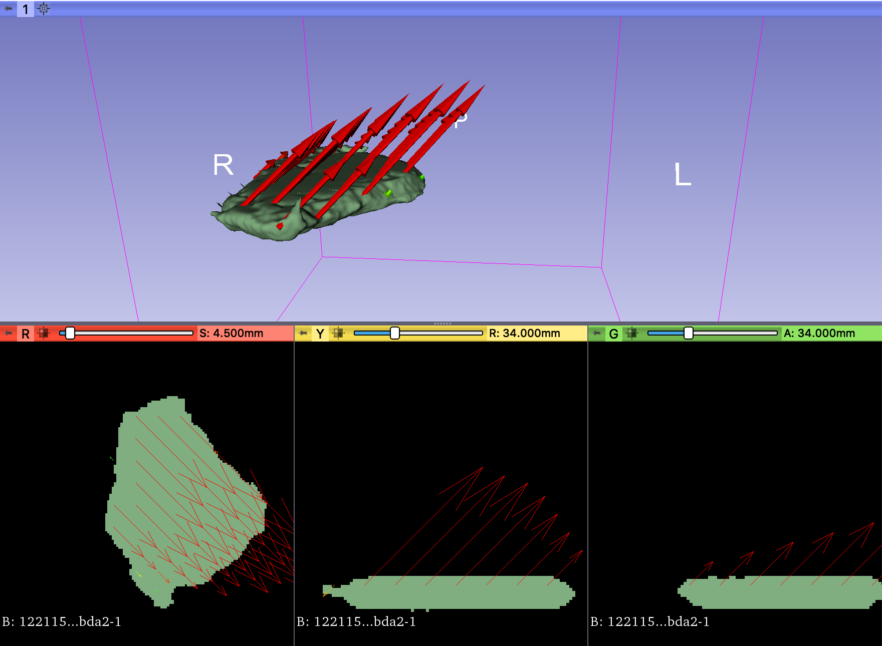 transformation field overlaid